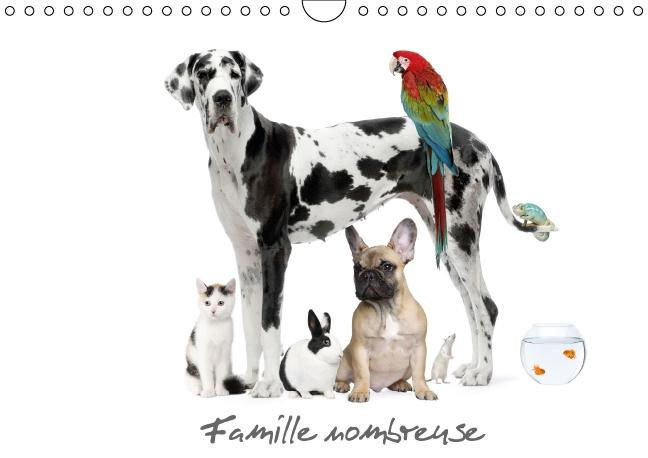 Emprunter FAMILLE NOMBREUSE CALENDRIER MURAL 2016 DIN A4 HORIZONTAL livre