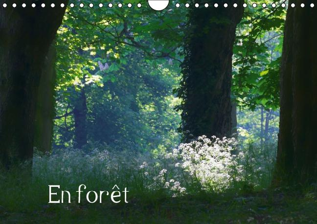 Emprunter EN FORET CALENDRIER MURAL 2016 DIN A4 HORIZONTAL livre
