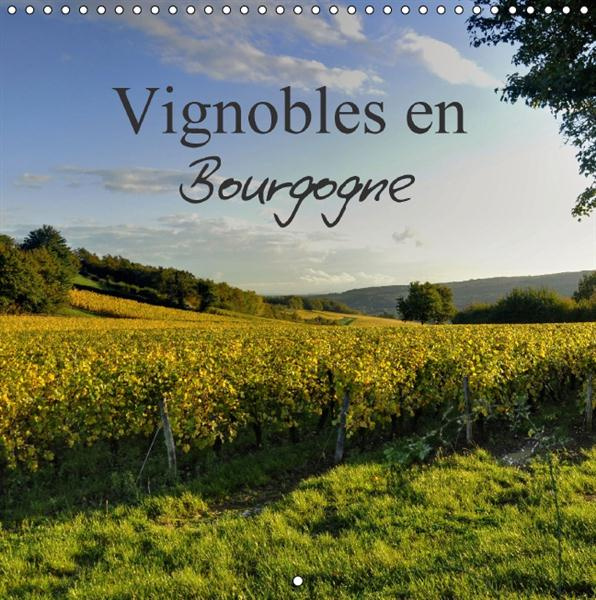 Emprunter VIGNOBLES EN BOURGOGNE CALENDRIER MURAL 2016 300 300 MM SQUARE livre