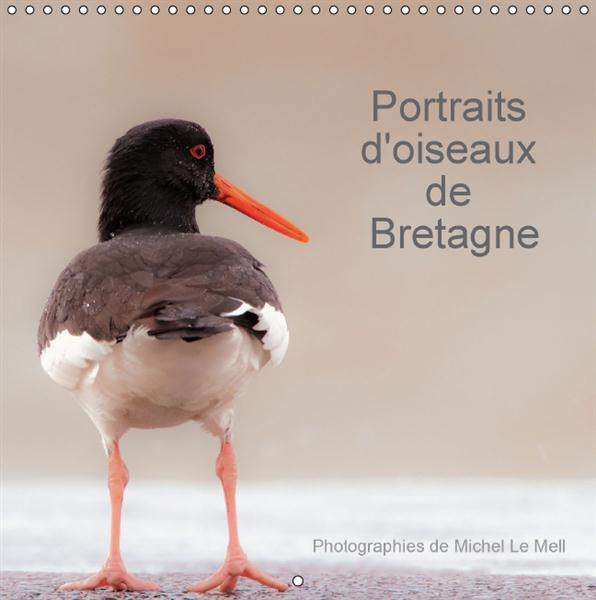 Emprunter PORTRAITS D OISEAUX DE BRETAGNE CALENDRIER MURAL 2016 300 300 MM SQUARE livre