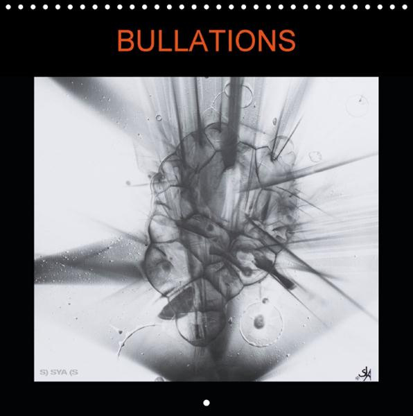 Emprunter BULLATIONS CALENDRIER MURAL 2016 300 300 MM SQUARE livre