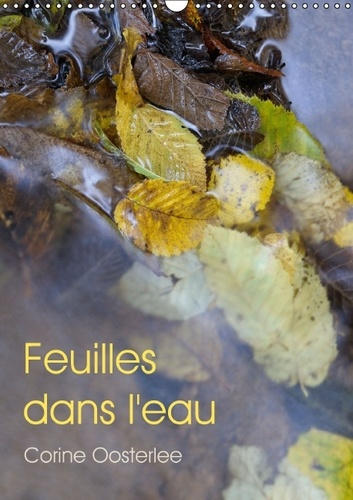 Emprunter FEUILLES DANS L EAU CALENDRIER MURAL 2016 DIN A3 VERTICAL livre