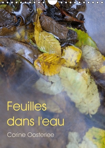 Emprunter FEUILLES DANS L EAU CALENDRIER MURAL 2016 DIN A4 VERTICAL livre