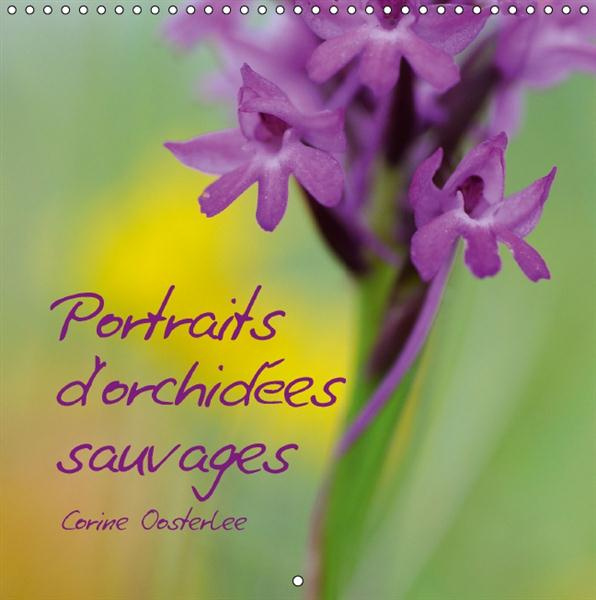 Emprunter PORTRAITS D ORCHIDEES SAUVAGES CALENDRIER MURAL 2016 300 300 MM SQUARE livre