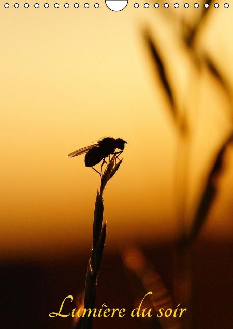 Emprunter LUMIERE DU SOIR CALENDRIER MURAL 2016 DIN A4 VERTICAL livre