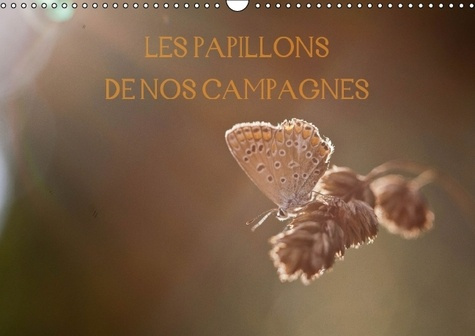 Emprunter LES PAPILLONS DE NOS CAMPAGNES CALENDRIER MURAL 2016 DIN A3 HORIZONTAL livre