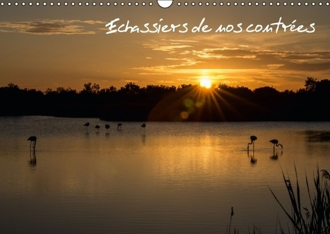 Emprunter ECHASSIERS DE NOS CONTREES CALENDRIER MURAL 2016 DIN A3 HORIZONTAL livre