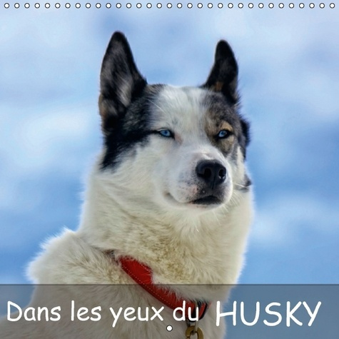 Emprunter DANS LES YEUX DU HUSKY CALENDRIER MURAL 2016 300 300 MM SQUARE livre
