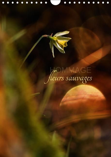 Emprunter HOMMAGE FLEURS SAUVAGES CALENDRIER MURAL 2016 DIN A4 VERTICAL livre
