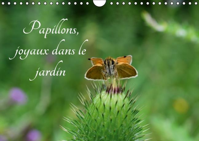 Emprunter PAPILLONS JOYAUX DANS LE JARDIN CALENDRIER MURAL 2016 DIN A4 HORIZONTAL livre