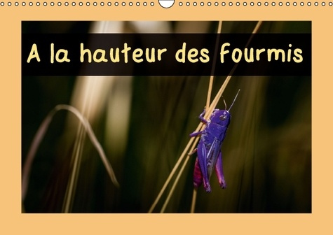 Emprunter A LA HAUTEUR DES FOURMIS CALENDRIER MURAL 2016 DIN A3 HORIZONTAL livre