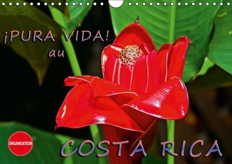 Emprunter PURA VIDA AU COSTA RICA CALENDRIER MURAL 2016 DIN A4 HORIZONTAL livre