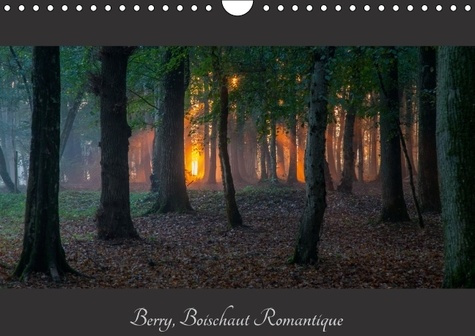 Emprunter BERRY BOISCHAUT ROMANTIQUE CALENDRIER MURAL 2016 DIN A4 HORIZONTAL livre
