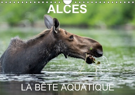 Emprunter ALCES LA BETE AQUATIQUE CALENDRIER MURAL 2016 DIN A4 HORIZONTAL livre