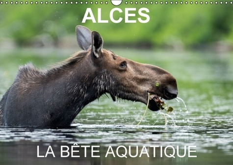 Emprunter ALCES LA BETE AQUATIQUE CALENDRIER MURAL 2016 DIN A3 HORIZONTAL livre