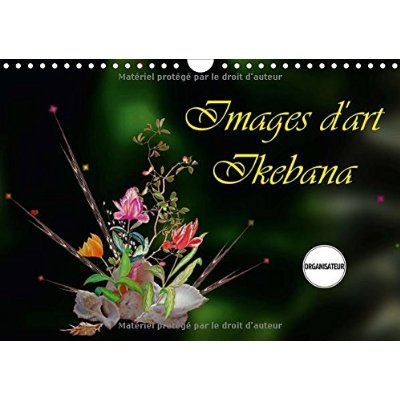Emprunter IMAGES D ART IKEBANA CALENDRIER MURAL 2016 DIN A4 HORIZONTAL livre