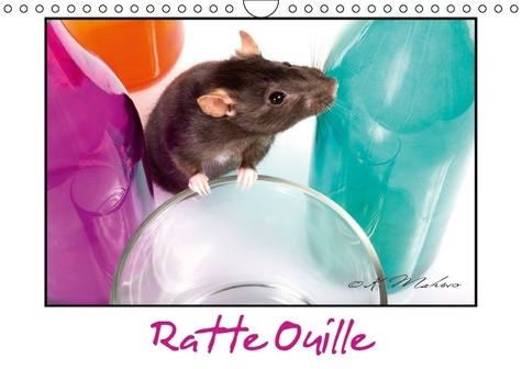 Emprunter RATTE OUILLE CALENDRIER MURAL 2016 DIN A4 HORIZONTAL livre