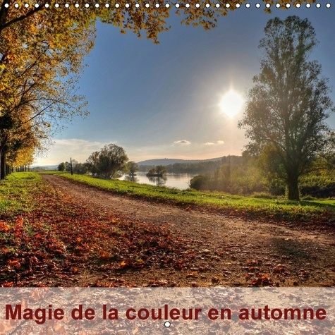 Emprunter MAGIE DE LA COULEUR EN AUTOMNE CALENDRIER MURAL 2016 300 300 MM SQUARE livre