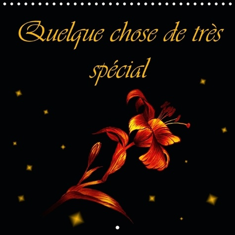 Emprunter QUELQUE CHOSE DE TRES SPECIAL CALENDRIER MURAL 2016 300 300 MM SQUARE livre