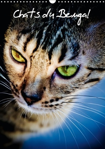 Emprunter CHATS DU BENGAL CALENDRIER MURAL 2016 DIN A3 VERTICAL livre