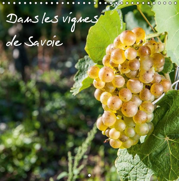 Emprunter DANS LES VIGNES DE SAVOIE CALENDRIER MURAL 2016 300 300 MM SQUARE livre