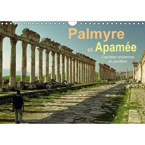 Emprunter PALMYRE ET APAMEE CAPITALES ANCIENNES EN PERDITION CALENDRIER MURAL 2016 DIN A4 livre