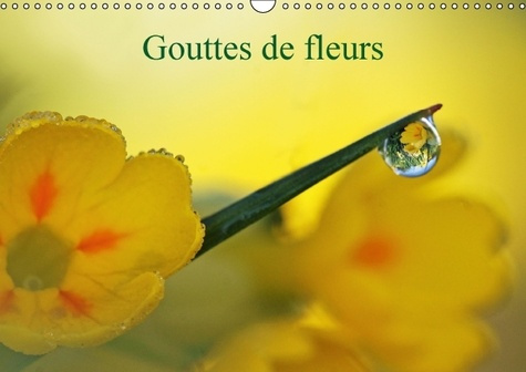 Emprunter GOUTTES DE FLEURS CALENDRIER MURAL 2016 DIN A3 HORIZONTAL livre