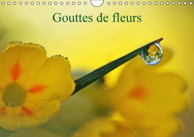 Emprunter GOUTTES DE FLEURS CALENDRIER MURAL 2016 DIN A4 HORIZONTAL livre