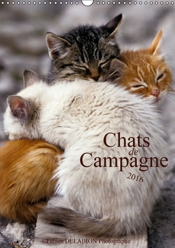Emprunter CHATS DE CAMPAGNE CALENDRIER MURAL 2016 DIN A3 VERTICAL livre