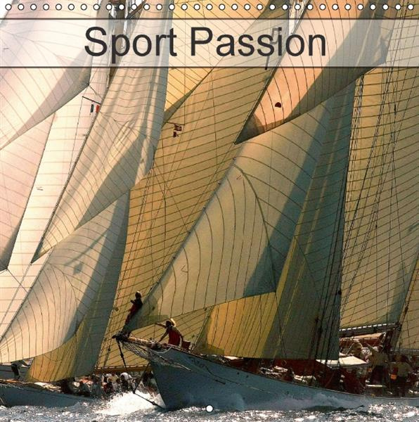 Emprunter SPORT PASSION CALENDRIER MURAL 2016 300 300 MM SQUARE livre