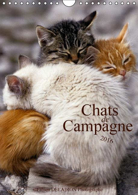 Emprunter CHATS DE CAMPAGNE CALENDRIER MURAL 2016 DIN A4 VERTICAL livre