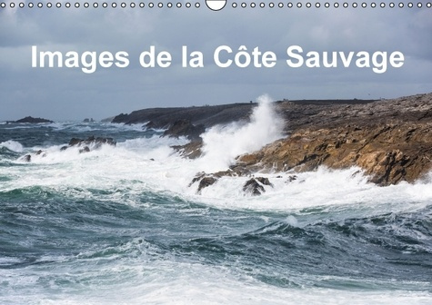 Emprunter IMAGES DE LA COTE SAUVAGE CALENDRIER MURAL 2016 DIN A3 HORIZONTAL livre