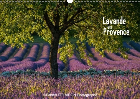 Emprunter LAVANDE EN PROVENCE CALENDRIER MURAL 2016 DIN A3 HORIZONTAL livre