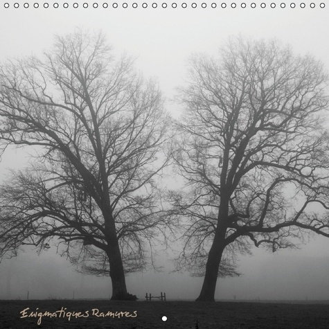 Emprunter ENIGMATIQUES RAMURES CALENDRIER MURAL 2016 300 300 MM SQUARE livre
