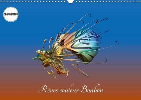 Emprunter REVES COULEUR BONBON CALENDRIER MURAL 2016 DIN A3 HORIZONTAL livre