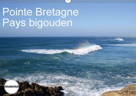 Emprunter POINTE BRETAGNE PAYS BIGOUDEN CALENDRIER MURAL 2016 DIN A3 HORIZONTAL livre