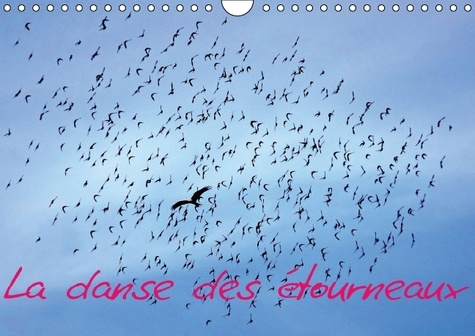 Emprunter LA DANSE DES ETOURNEAUX CALENDRIER MURAL 2016 DIN A4 HORIZONTAL livre