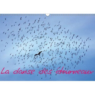 Emprunter LA DANSE DES ETOURNEAUX CALENDRIER MURAL 2016 DIN A3 HORIZONTAL livre