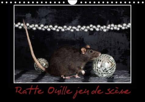 Emprunter RATTE OUILLE JEU DE SCENE CALENDRIER MURAL 2016 DIN A4 HORIZONTAL livre