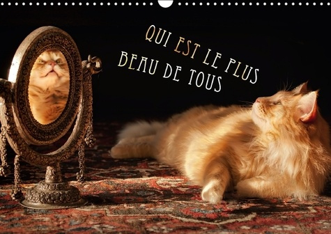 Emprunter QUI EST LE PLUS BEAU DE TOUS CALENDRIER MURAL 2016 DIN A3 HORIZONTAL livre