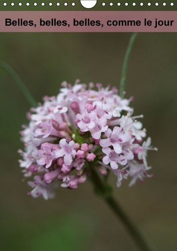 Emprunter BELLES BELLES BELLES COMME LE JOUR CALENDRIER MURAL 2016 DIN A4 VERTICAL livre