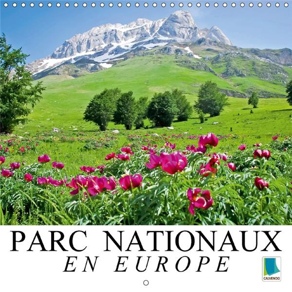 Emprunter PARCS NATIONAUX EN EUROPE LA FIERTE D UN CONTINENT CALENDRIER MURAL 2017 300 300 - ECOSYSTEMES SENSI livre