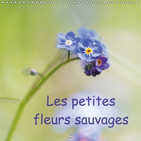 Emprunter LES PETITES FLEURS SAUVAGES CALENDRIER MURAL 2017 300 300 MM SQUARE - LA BEAUTE DES FLEURS SAUVAGES livre