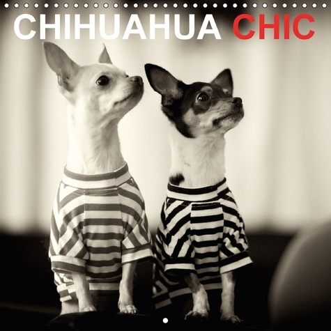 Emprunter LES FRERES ET S URS CHIHUAHUA livre