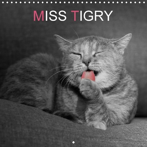Emprunter MISS TIGRY OU LA VIE D UN CHAT livre