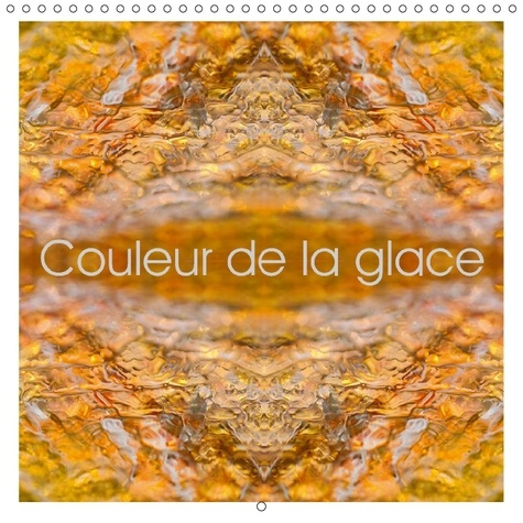 Emprunter PHOTOS DE GLACE CAPTUREES DANS livre