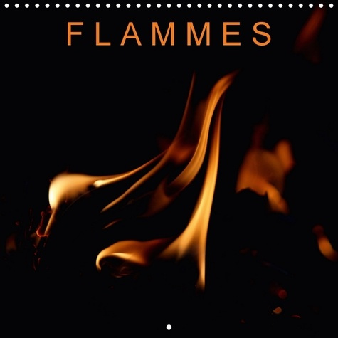 Emprunter UN AUTRE REGARD SUR LE FEU CAL livre