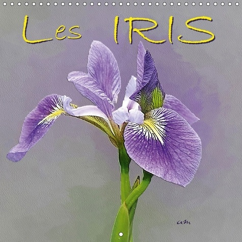 Emprunter SERIE DE TABLEAUX D IRIS CALEN livre