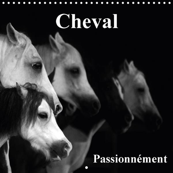 Emprunter LE CHEVAL LA PLUS BELLE CONQUE livre