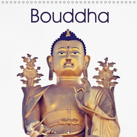 Emprunter MAGNIFIQUES PHOTOS DES BOUDDHA livre